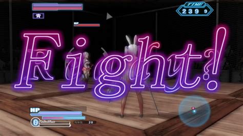 Gamble Fight Plus PV .